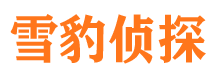 湛江找人公司